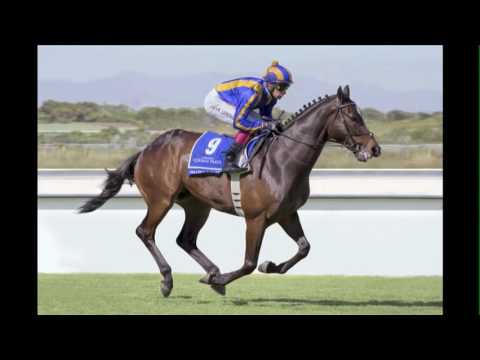 MASTER SABINA.Vodacom Durban July runner