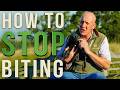 STOP Your Puppy From Biting Prevention Is Better Than Cure