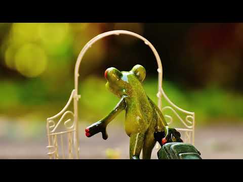 ‘See You All Later’ – arvo (Mark Alexander Clark)