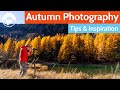 Autumn Photography Walk – Capturing the Fall Season Colour in Your Photos!