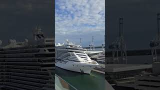 EPIC Ship Horn Battle! 🚢 Carnival Celebration vs MSC Seascape at Port Miami #shorts
