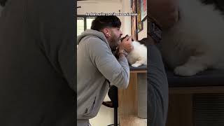 Io dal nulla con il mio animale: #cats #dogs #animals #funny #funnyvideo