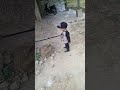 REVALI Main Berang Berang Part 2