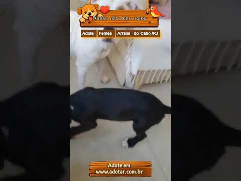 Vídeo de Ainda não tem nome