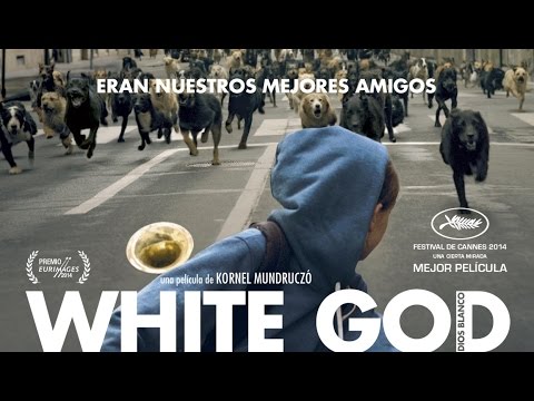 Trailer en español de White God (Fehér isten)