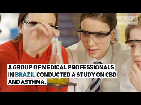 download lagu mp3 mp4 Cbd Oil Good For Asthma, download lagu Cbd Oil Good For Asthma gratis, unduh video klip Cbd Oil Good For Asthma