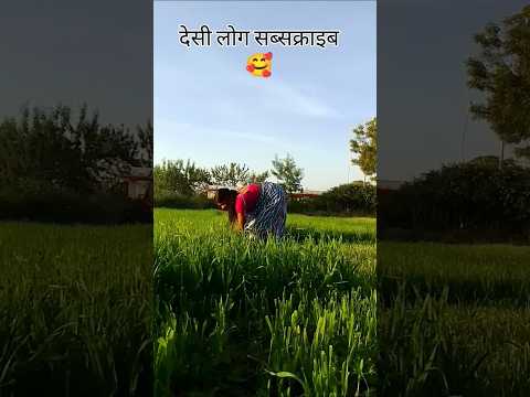 देशी या मेकमि देख कर 🥰 #design #designer #designerpanda #designs #designerpanda #shorts