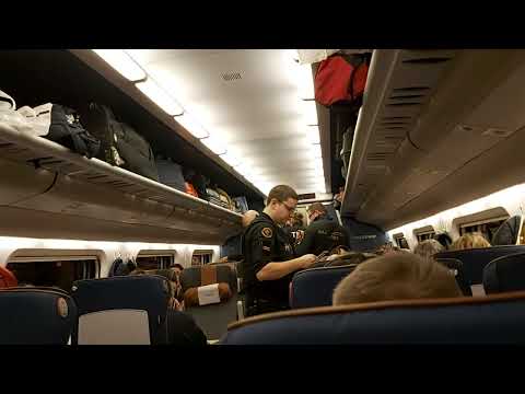 Allegro train from Russia to Finland: Announcement and Passport control, January 6, 2020