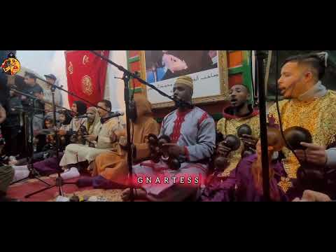 Lila Gnawa 💯 : Màalem Mokhtar Gania /lghabawyin #1 ✔️🖤🤎🎵traditionnel #music