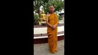 Dang's story : the daily life of a Buddhist monk