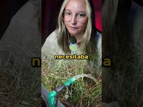 Molino roto → solución con bomba solar 💧☀️