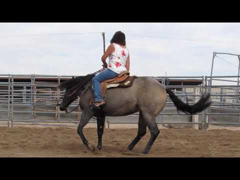 Prince, Hollywood Dunit Good son...