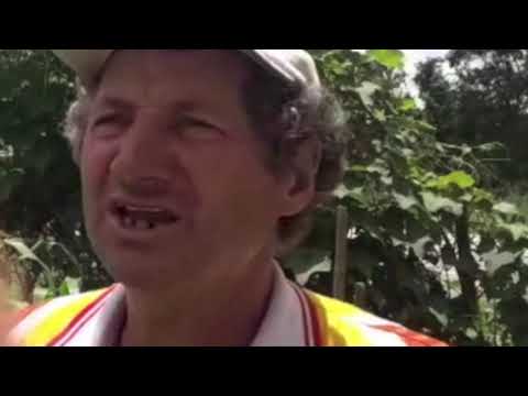 https://www.youtube.com/watch?v=0ifdxIJ6iIs