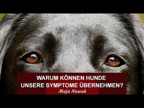 Warum können Hunde unsere Symptome übernehmen? Maja Nowak - Das Interview führt Nadine Gelhaus