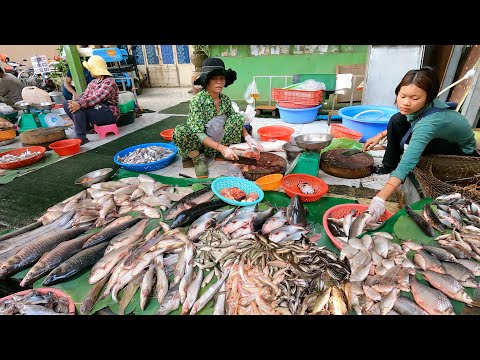 Cambodian Wet Food Market Scenes - Fish, Chicken, Pork, Meat, Vegetables, Vendors & Buyers