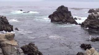 preview picture of video 'Point Lobos State Natural Reserve, Carmel, CA'