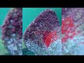 Satisfying Underwater Barnacle Removal On Giant Propeller No Talking ASMR Barnacleremoval
