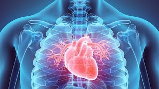 Ürək və qan damarları(DİM test toplusu) 32-51