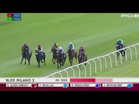 2022.06.05 Premio Vittorio Crespi (ITA) - Royal Lea