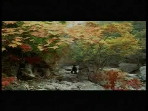 Printemps, été, automne, hiver... et printemps - 봄, 여름, 가을, 겨울 그리고 봄