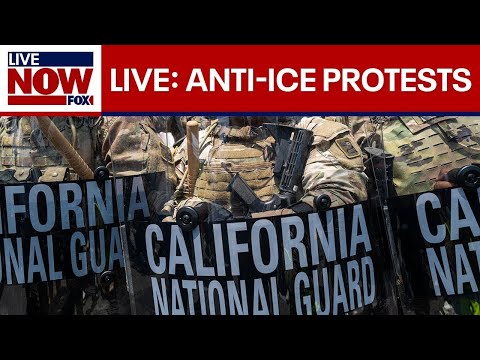Video | Watch: Massive ICE operation in Los Angeles