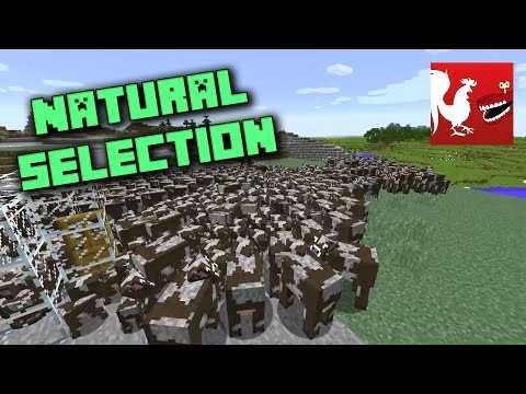 Things to Do In Minecraft - Natural Selection | Rooster Teeth
