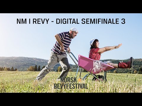 NM i Revy - Digital Semifinale 3