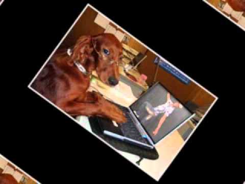 pre10da ft trigmatic