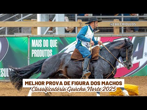 Vale Ouro do Recanto Crioulo - TE • Melhor Prova de Figura dos Machos na Clas. Gaúcha Norte 2025