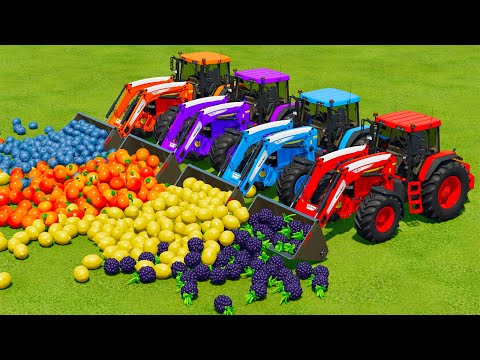 LOAD AND TRANSPORT FRUITS WITH FENDT & JOHN DERRE TRACTORS -Farming Simulator 22