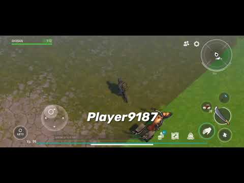 LDOE Raid Player9187