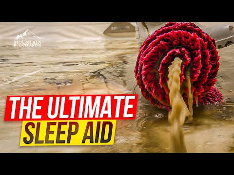 6-Hour ASMR Rug Cleaning Marathon: Relax and Sleep to Satisfying Deep Cleans