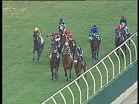 Galoppo 27/01/2018 - 5ª corsa