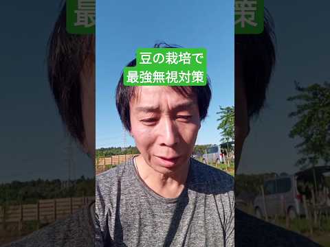 自然に植物の病気を治療したり昆虫を撃退したりするにはどうすればよいでしょうか？庭師のヒント  庭園