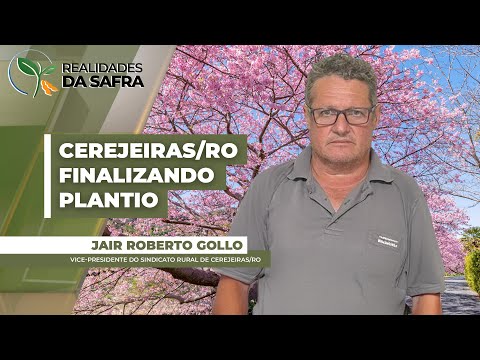 Cerejeiras/RO está finalizando plantio da soja com bom desenvolvimento das áreas após volta....