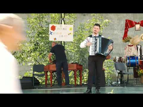 Stelian Cheptrosu - La o margine de drum - Nicolae Sulac