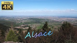 Andlau, Mittelbergheim, Mont Saint Odile (Alsace) - France 4K Travel Channel