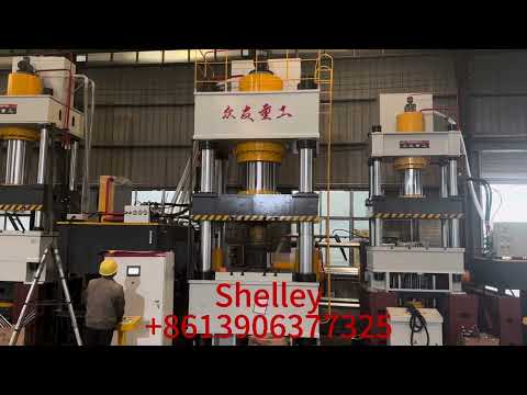 1000 Ton Servo Press