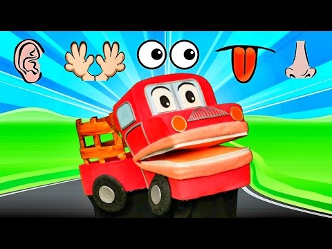 Los Cinco Sentidos - Barney El Camion - Canciones Infantiles - Lunacreciente