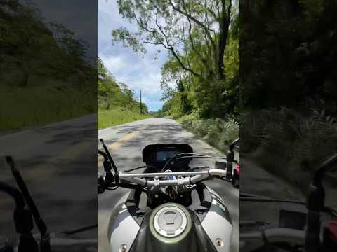 Passeio em Luís Alves - Santa Catarina Terra da Cachaça e da Banana #sc #luisalves #cachaca #banana