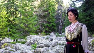 Фотоизложбата “Аз съм Българка!“ гостува в Плевен