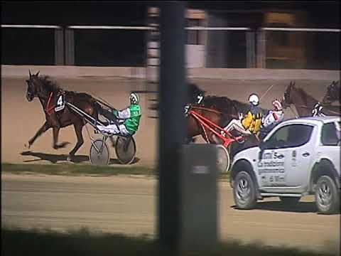 Trotto 10/01/2020 - 7ª corsa