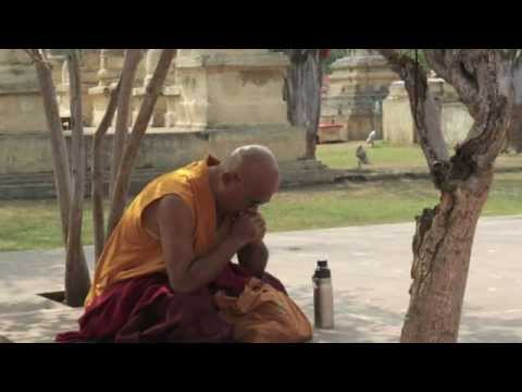 Bodh Gaya India the Temple Ground