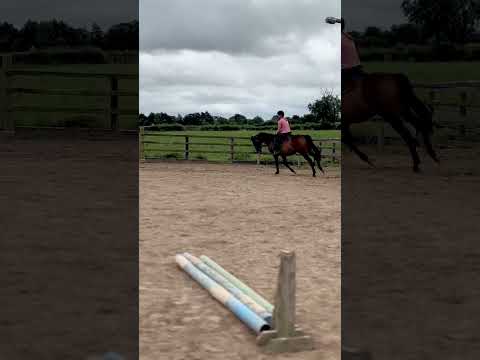 Retrained TB (RoR Eligible) - Image 2