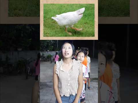 #สัตว์แปลก ทายภาพสัตว์2ชนิด ผสมกัน #shorts #quiz