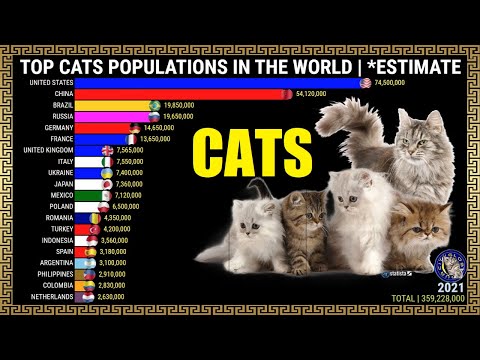 Top Cats Populations in the World