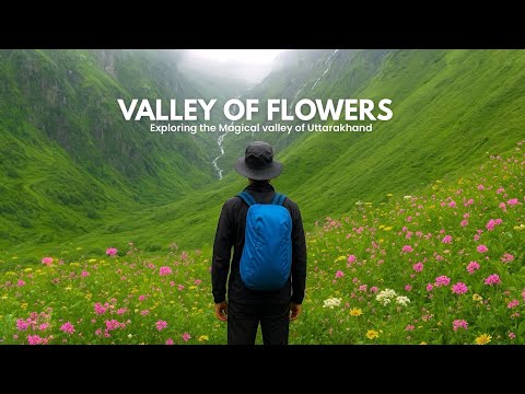 Exploring The Magical Valley Of Uttarakhand - “Valley Of Flowers” 
