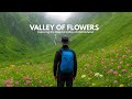 Exploring The Magical Valley Of Uttarakhand Valley Of Flowers