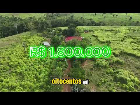 Sítio à Venda em Machadinho d’Oeste RO | 30 Alqueires Formado com Rio, Casa e Curral