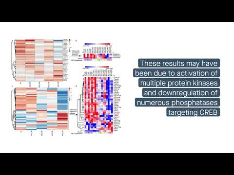 Role of zinc-mediated CREB pathway activation in PASMC proliferation during PH